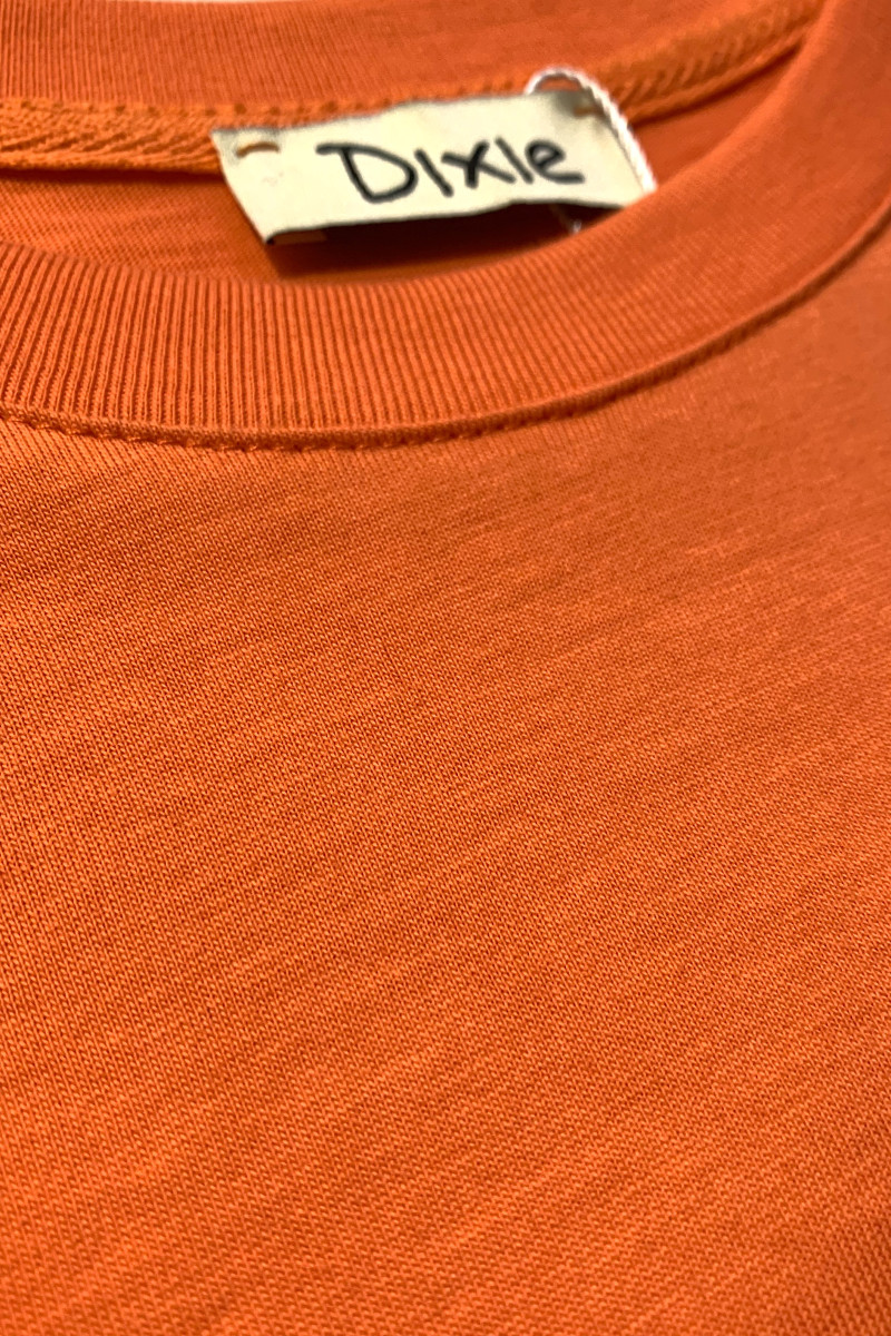 Яркая оранжевая хлопковая футболка прямого кроя Dixie